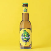 Paranoia huyghe birra analcolica birrificio storico  belga 0,3% bottiglia 0,33 